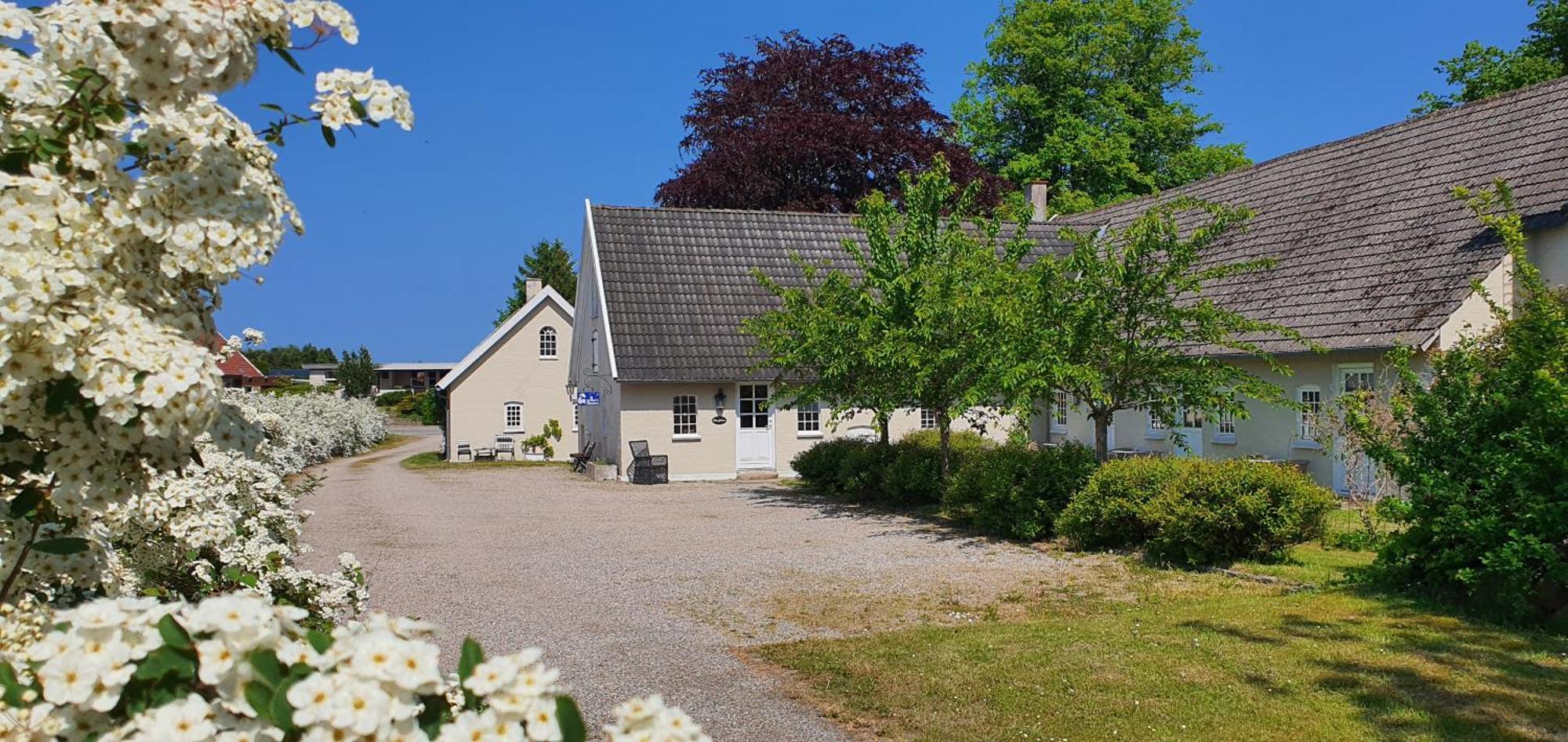 Store Ejlstrup Bed & Breakfast Odense Exterior foto